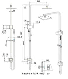 Anders Square Twin Rail Shower - Timeless Bathroom Supplies